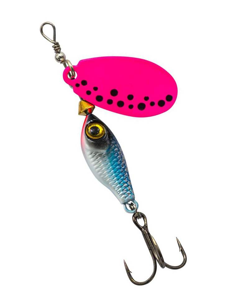 Armada Gyrospinner 12gram spinner for perch trout and other predators