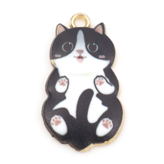 Charm   Enameld Cat & Paws, black & White