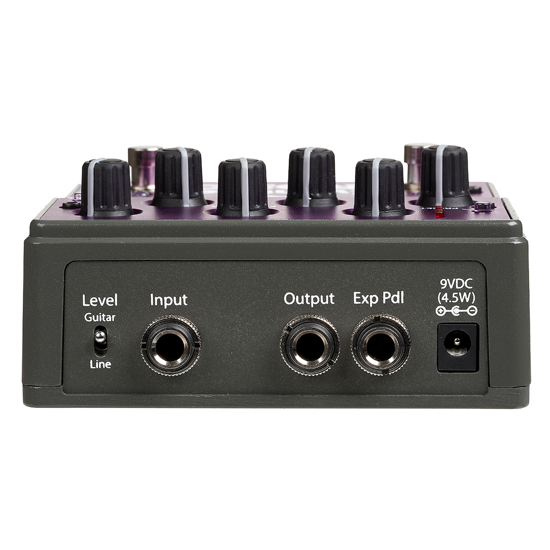 Eventide Rose - 3