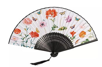 Solfjäder - Maria Sibylla Merian
