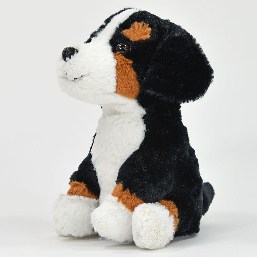 Taledyr, Berner sennenhund Rocky - 5