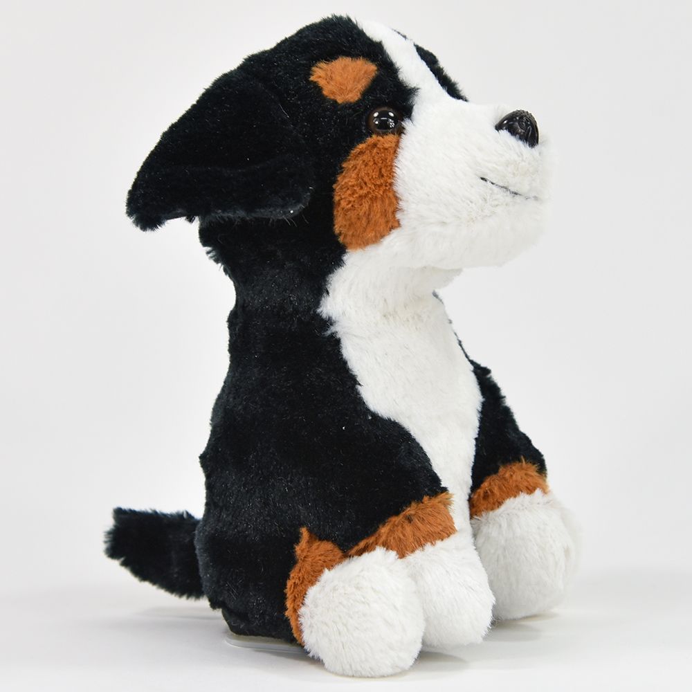 Taledyr, Berner sennenhund Rocky - 4