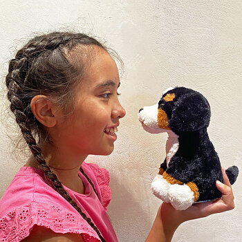Taledyr, Berner sennenhund Rocky