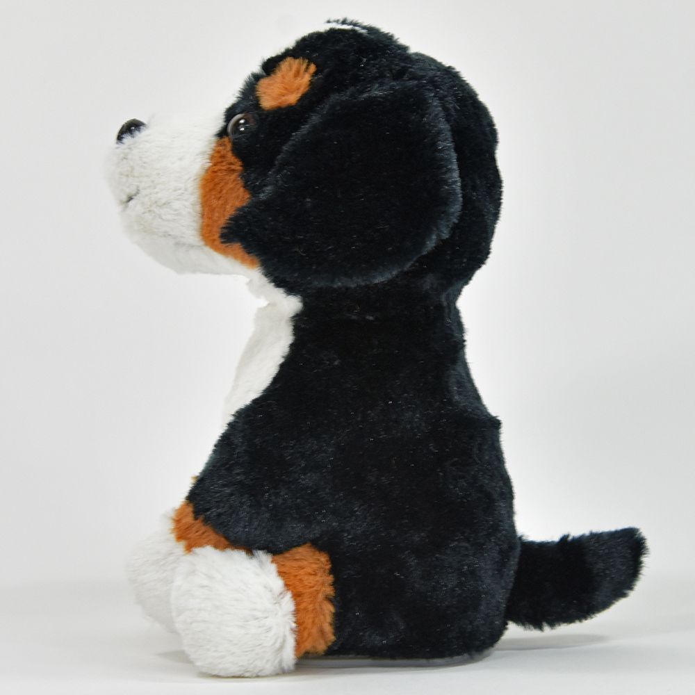 Taledyr, Berner sennenhund Rocky - 8