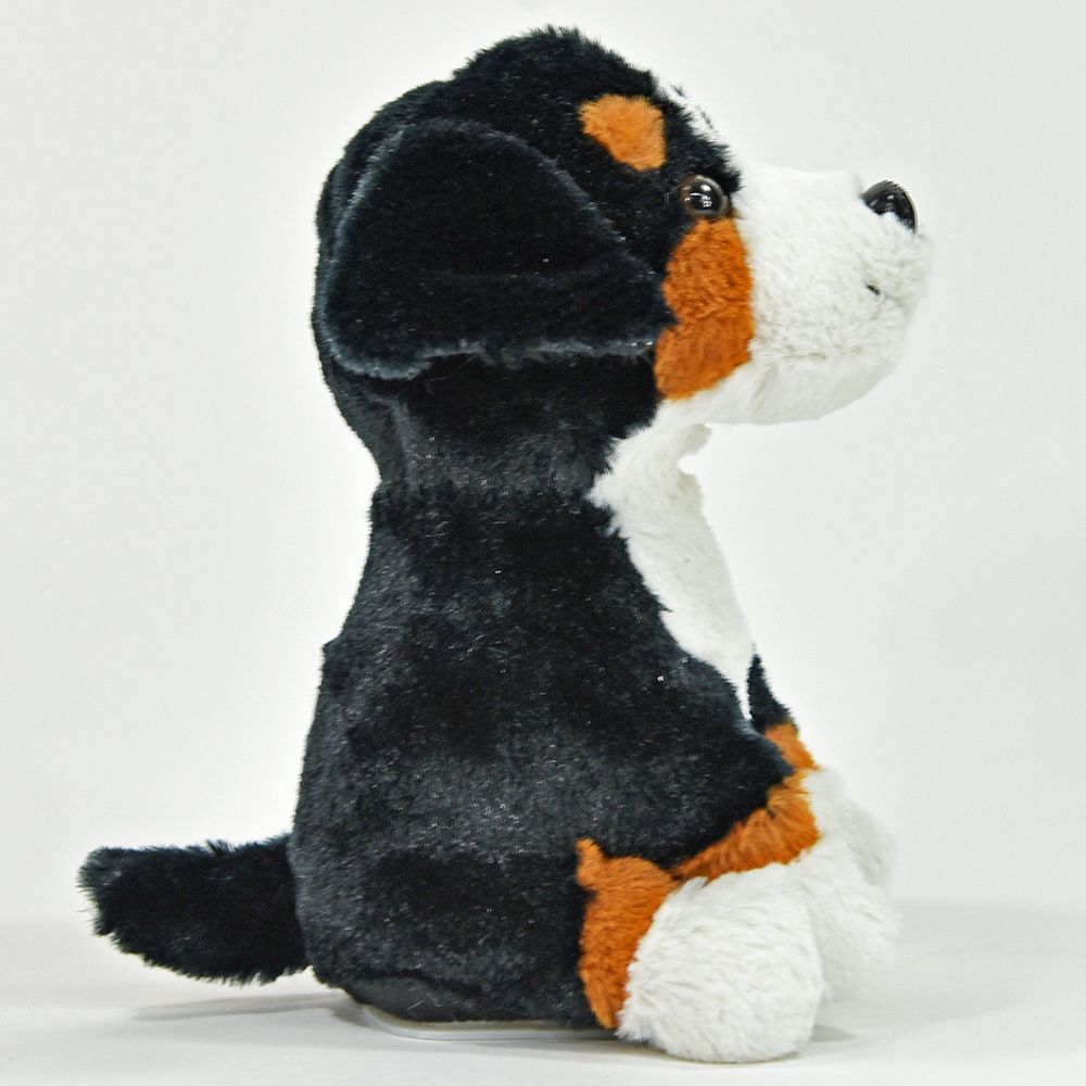 Taledyr, Berner sennenhund Rocky - 9