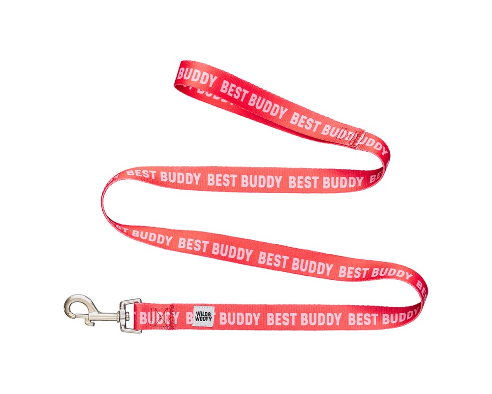 Hundkoppel Buddy - 3