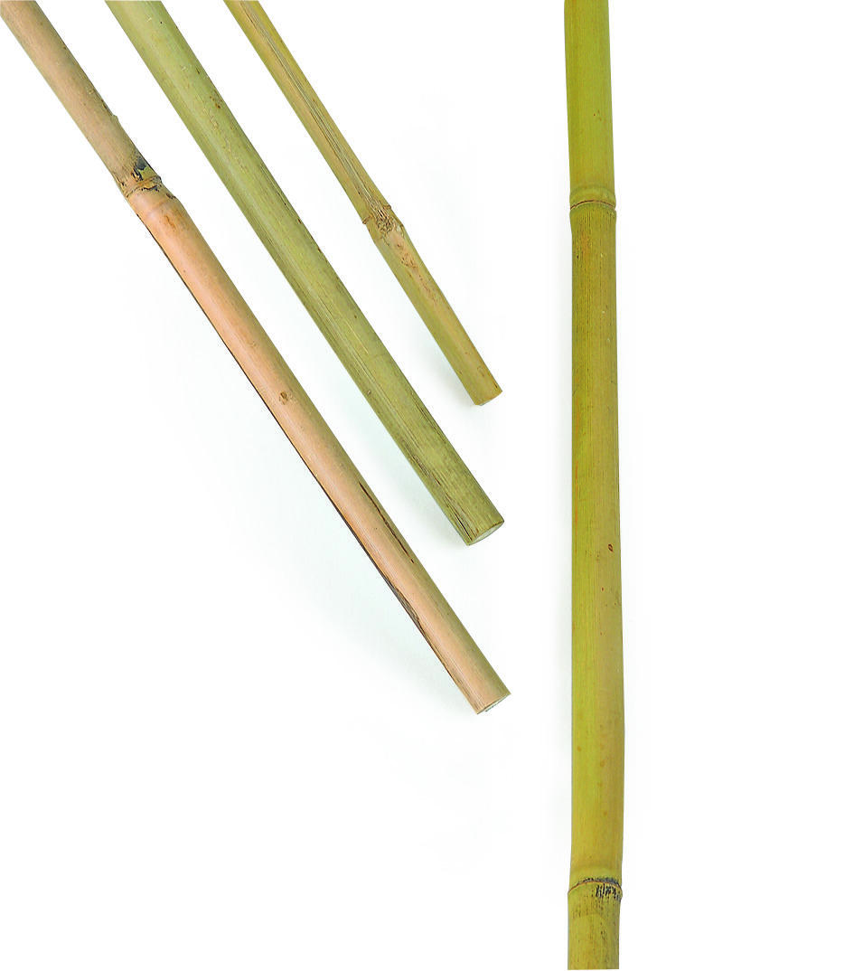 Bambukäpp 100cm