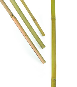 Bambukäpp 100cm