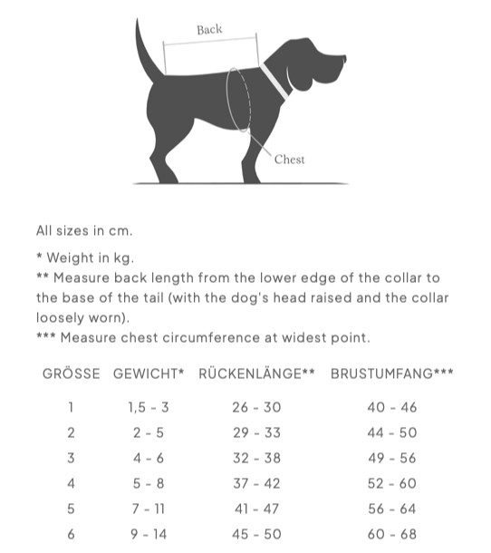 Cloud7 Dog Trenchcoat Oxford Ivory - 4