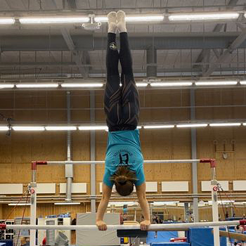 PRO HiT Blocked Tights Dam - 5