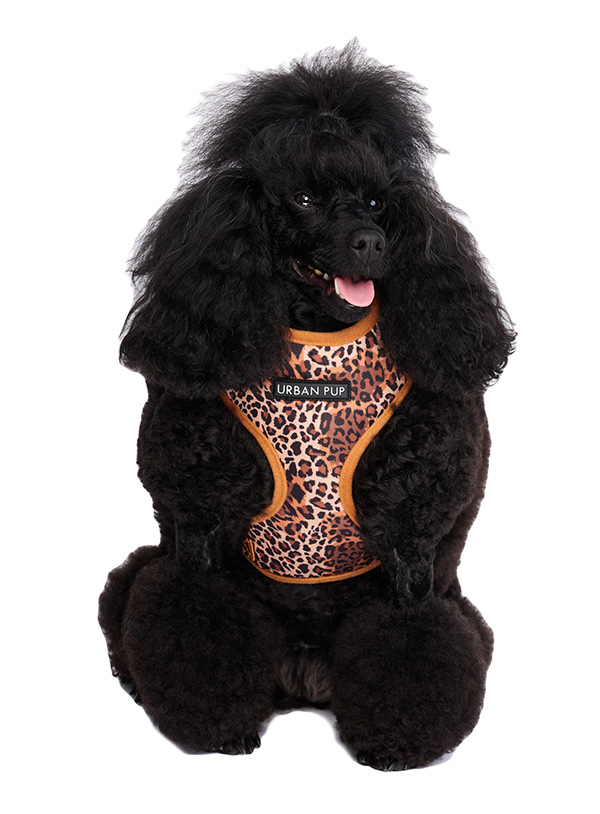 Urban Pup Cheetah Print Brun Sele  - 2