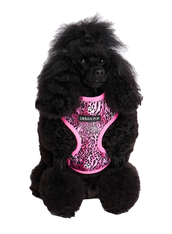 Urban Pup Rosa Leopard Sele  - 2