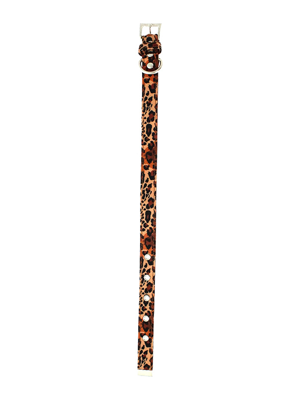Urban Pup Cheetah Print Brun Medium - 6