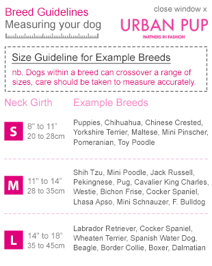 Urban Pup Rosa Leopard Print Medium - 8
