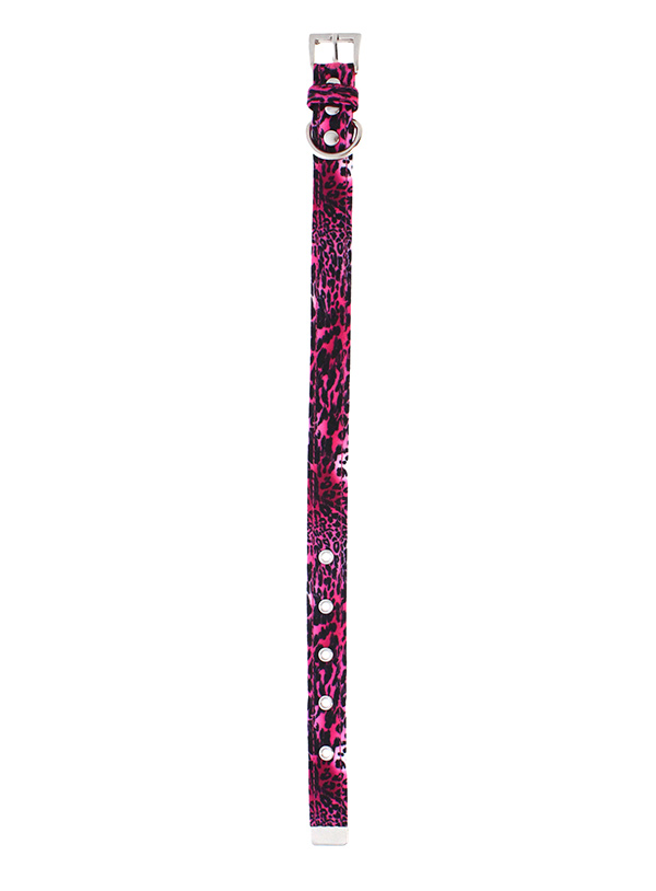 Urban Pup Rosa Leopard Print Large - 6