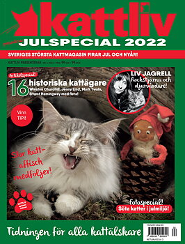 Julspecial 2022
