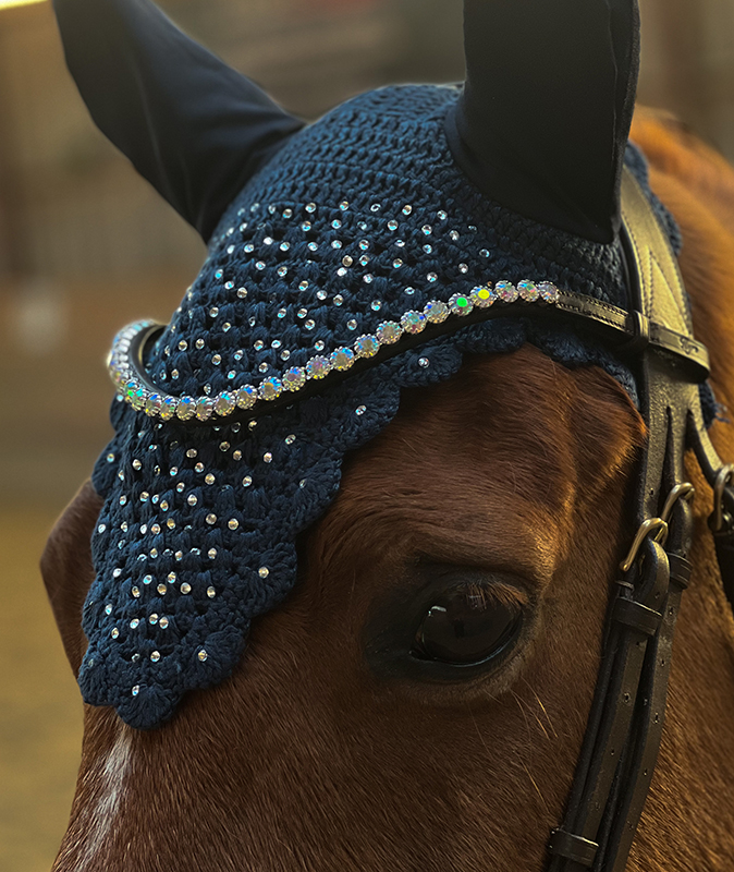 Browband horse Crystal AB