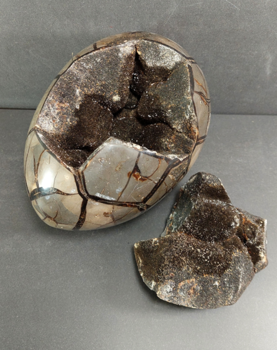 Septaria  Ägg - EG9 - 2