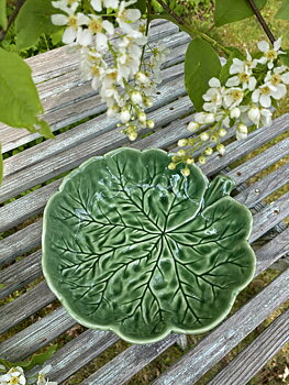 Skål pelargonblad