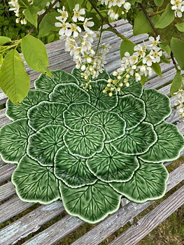 Fat pelargonblad