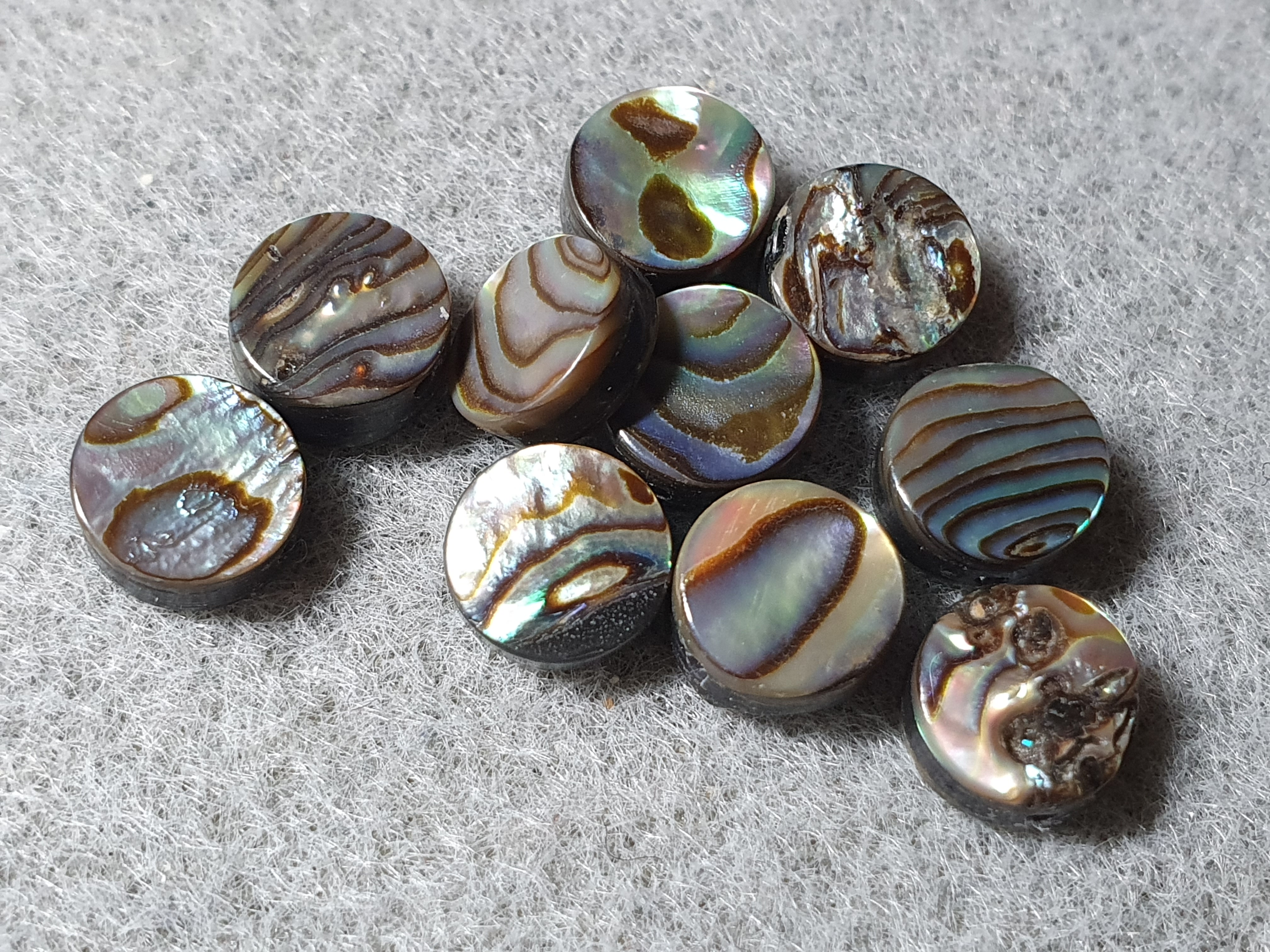Abalone, puck  ca. 8mm med hål , 10st/fp Pris/fp ( tvåsidig ) - 3