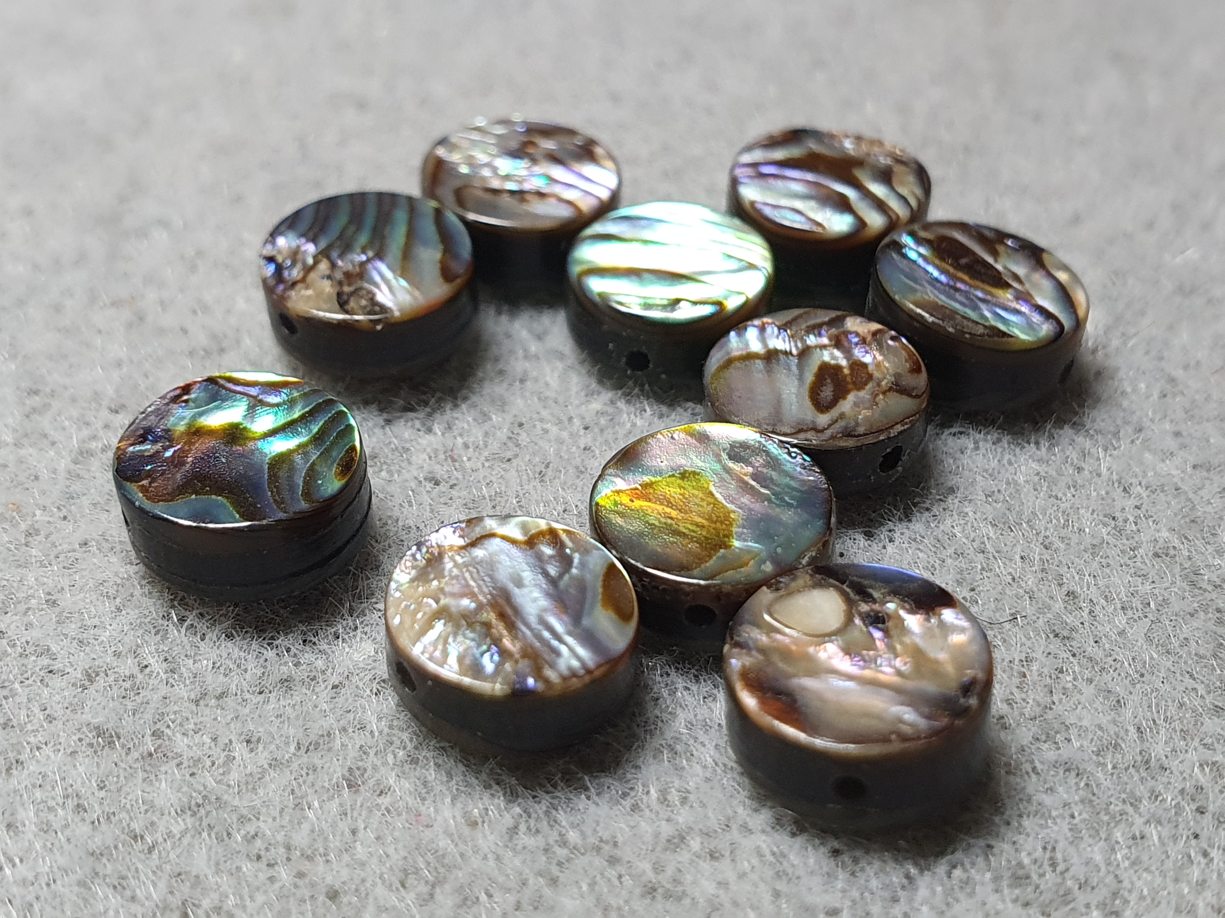 Abalone, puck  ca. 8mm med hål , 10st/fp Pris/fp ( tvåsidig )