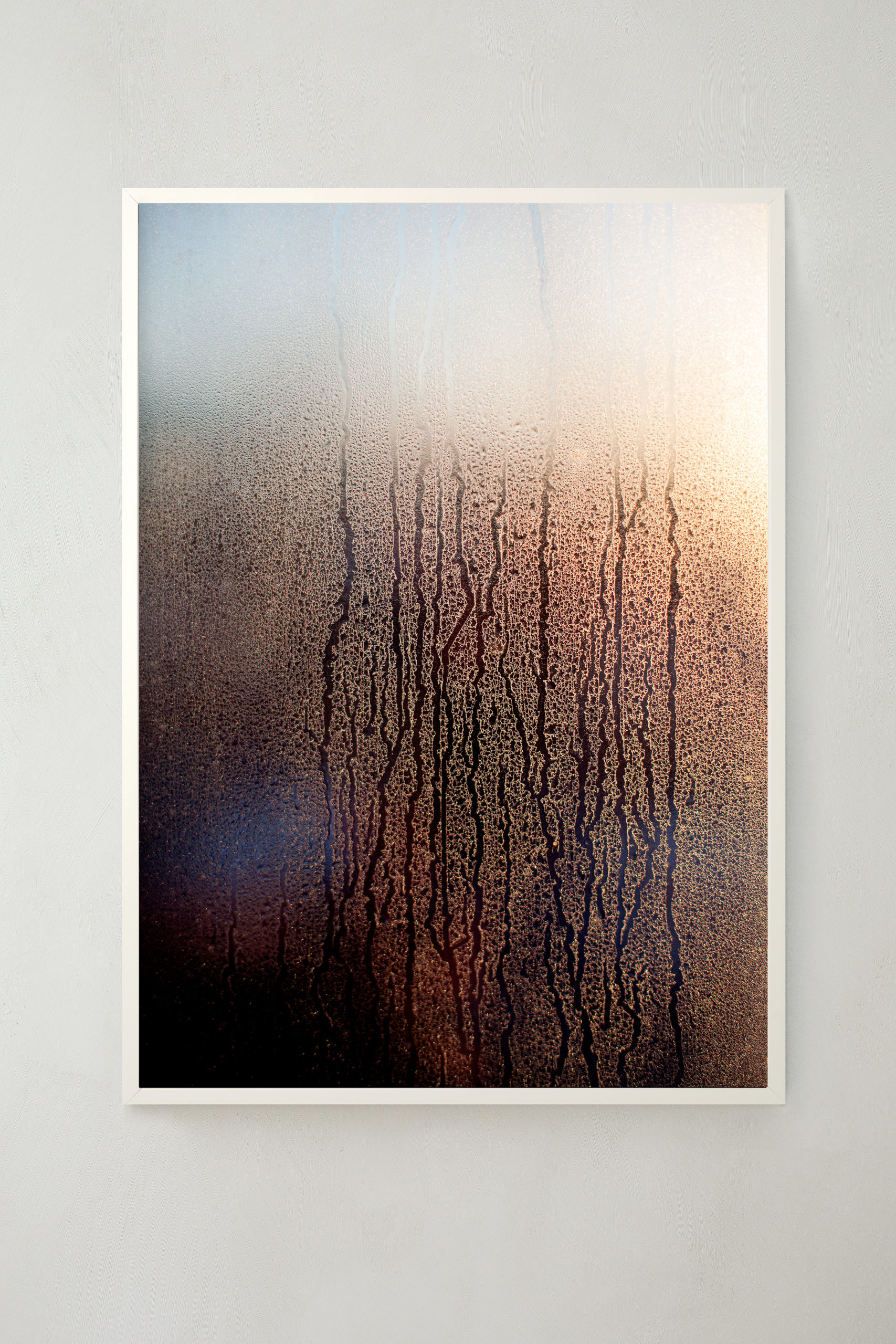 Morgondagg - Poster 30x40 cm - Fotokonst - 3