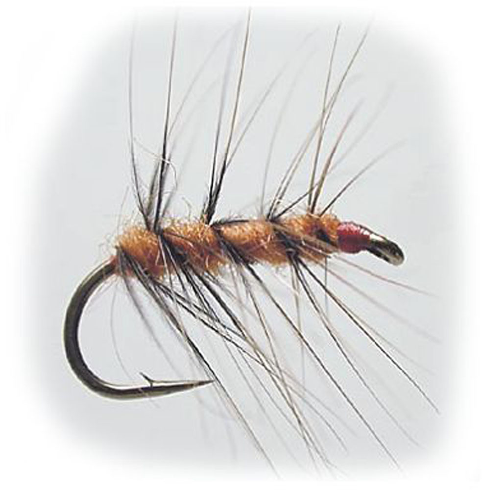 Superpuppa Brown & Orange