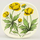 Esteri Tomula (Botanica 1988) Globeflower Wall Plaque 13 cm
