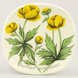 Esteri Tomula (Botanica 1988) Globeflower Wall Plaque 13 cm