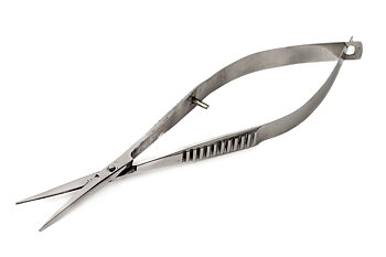 Wittmore India Spring Scissors Rak