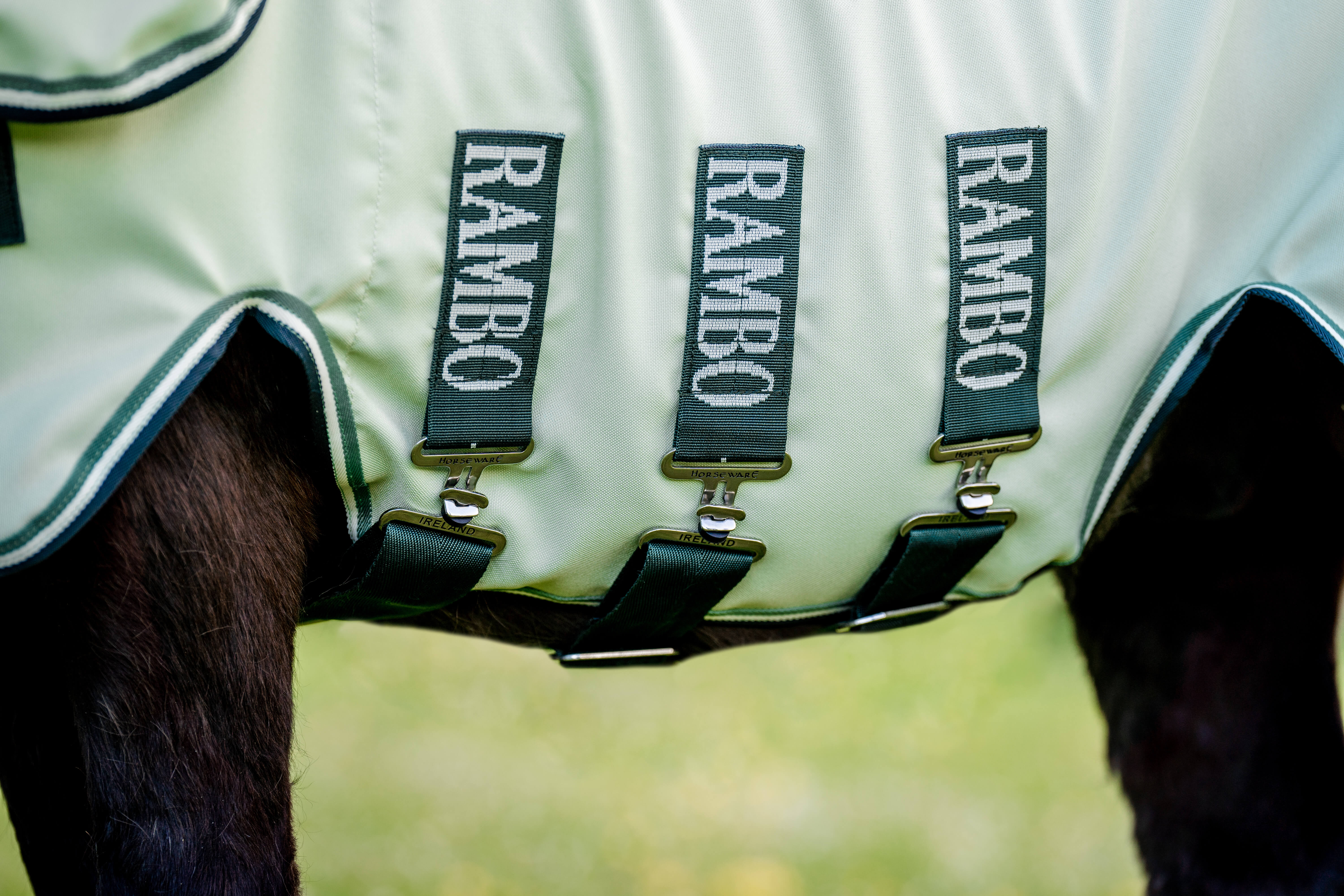 Horseware RAMBO PETITE HOODY green - 4