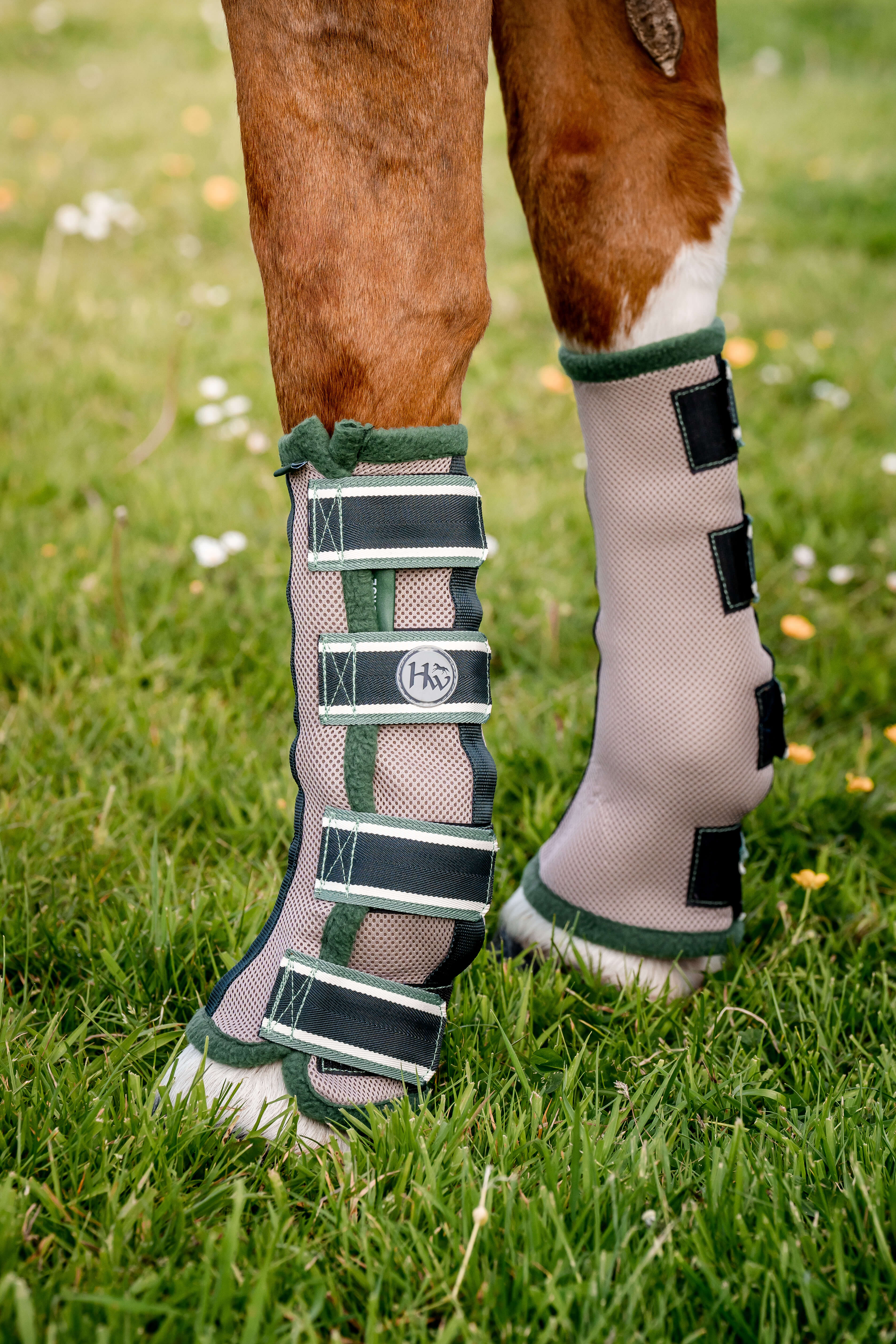 Horseware AMIGO FLYBOOTS green