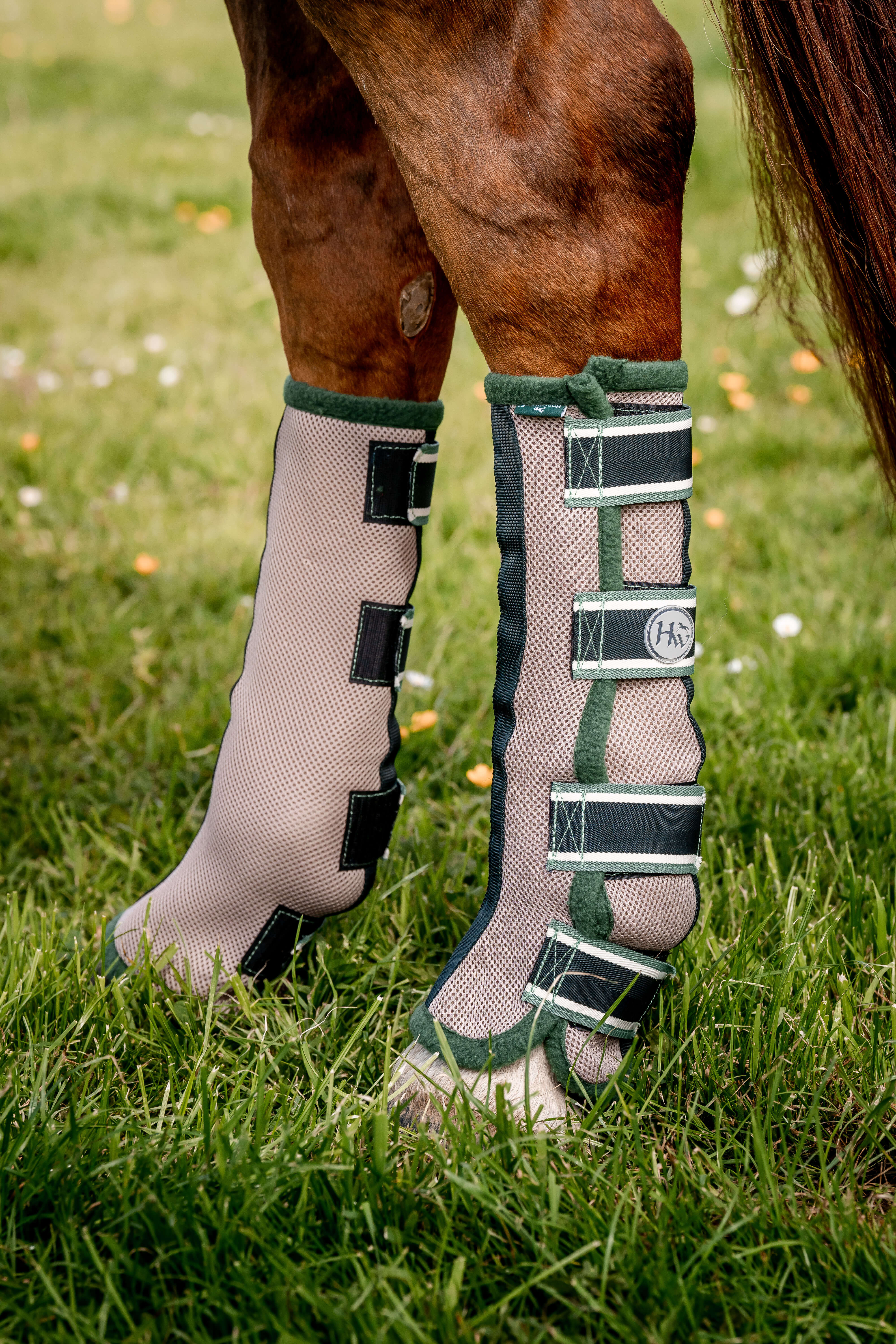 Horseware AMIGO FLYBOOTS green