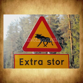 Extra stor - Älg Vägskylt Vykort A5