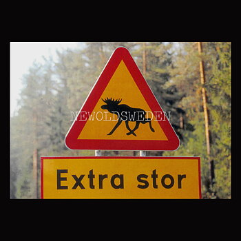 Extra stor - Älg Vägskylt Vykort A5