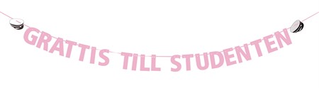 BANNER GRATTIS TILL STUDENTEN ROSA 3.6M