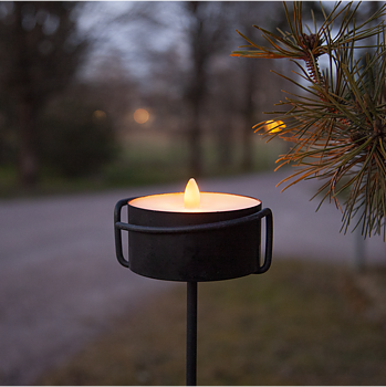 Marschall Led
