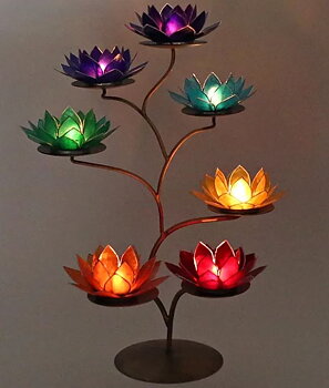 Lotuslyktan Display 