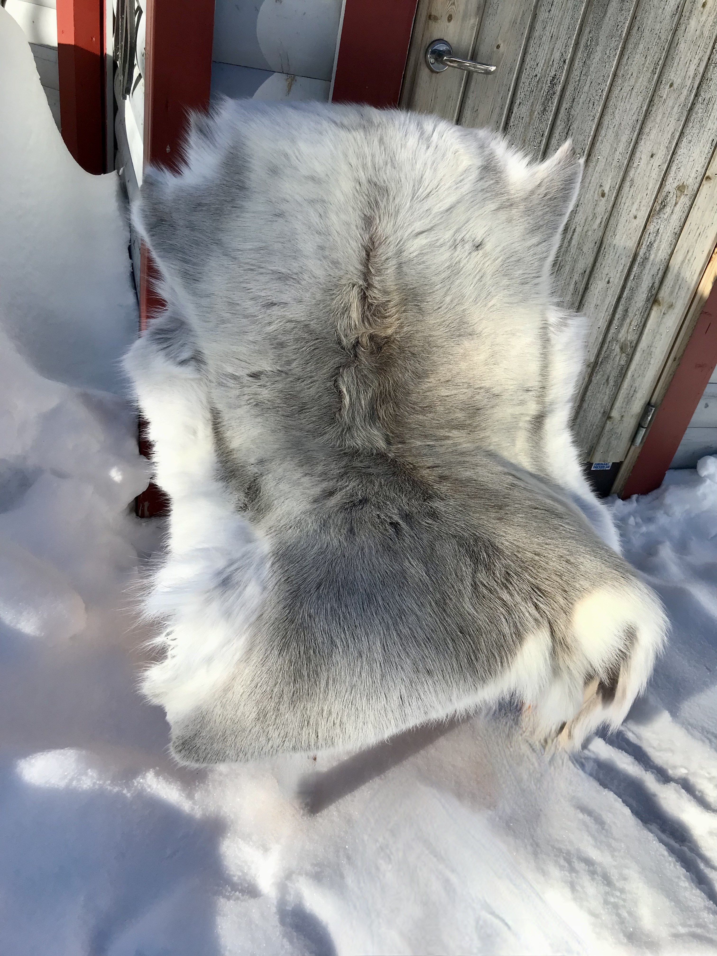 Kero Reindeer päls silikonbeh utomhusbruk