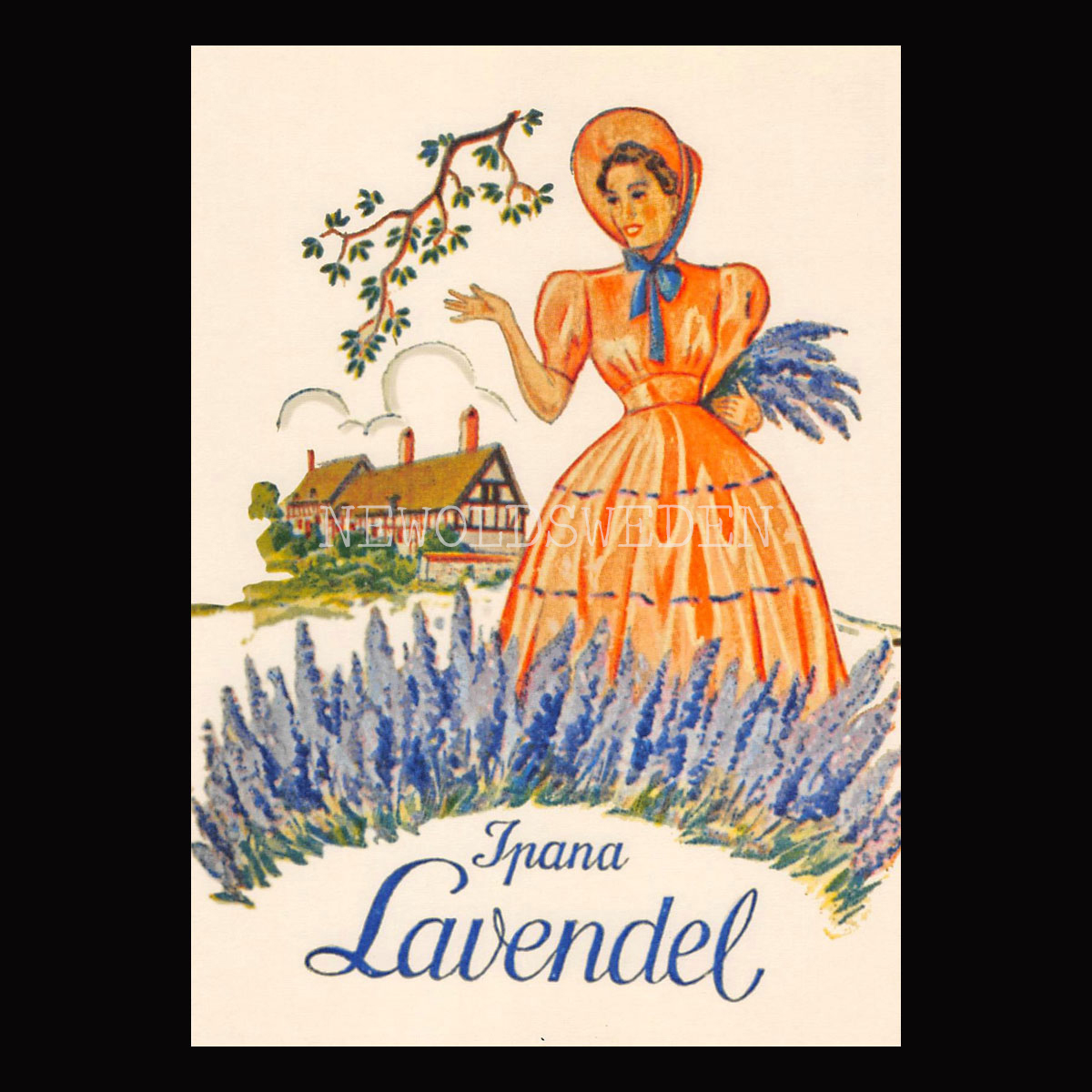 Ipna Lavendel  - Vykort A5