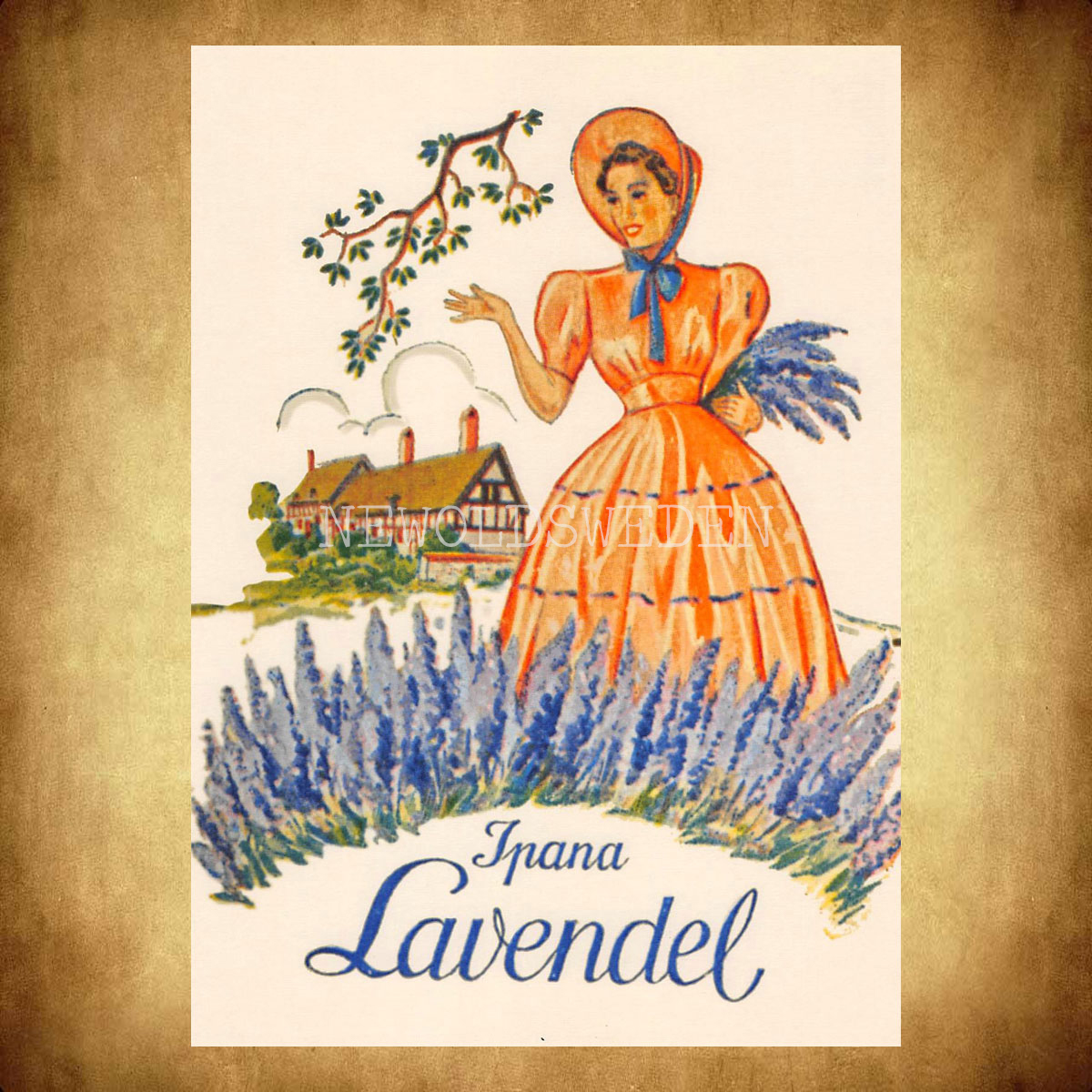 Ipna Lavendel  - Vykort A5 - 2
