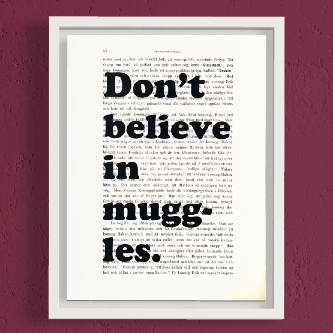 Tavla med texten Don't believe in muggles.