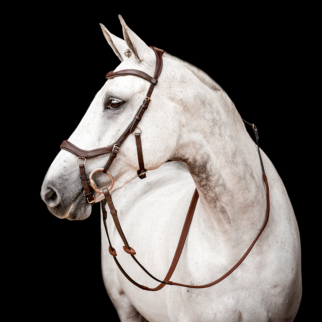 HORSEWARE MICKLEM 2 COMPETITION BRIDLE - 2