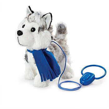 Happy Pets Walk Along Puppy, Huskey