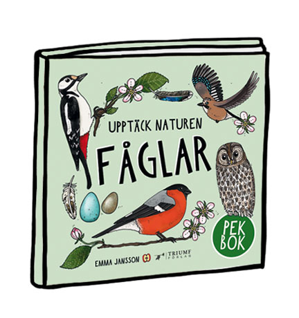 Pekbok - Fåglar