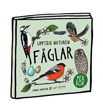 Pekbok - Fåglar