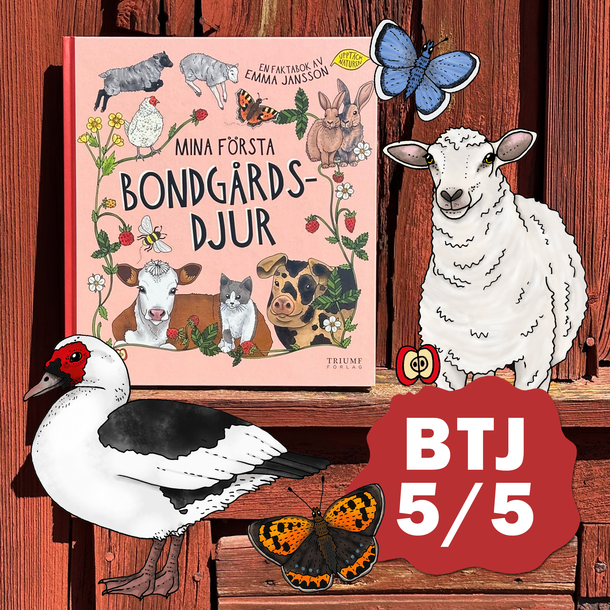 Mina första bondgårdsdjur - 2