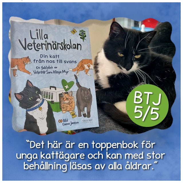 Lilla veterinärskolan - Din katt från nos till svans - 2