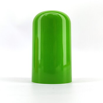 Housing for RAPT Pill - green